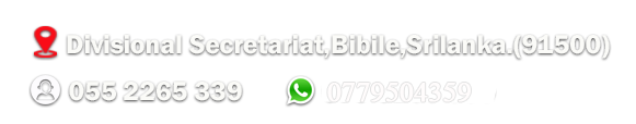 3333366