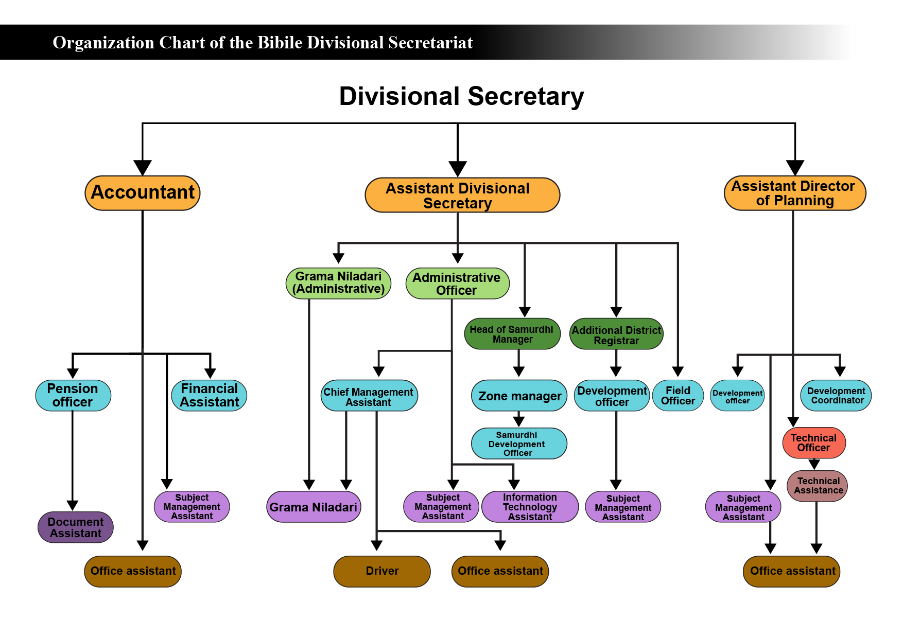 Organization chart Bibile 01 02