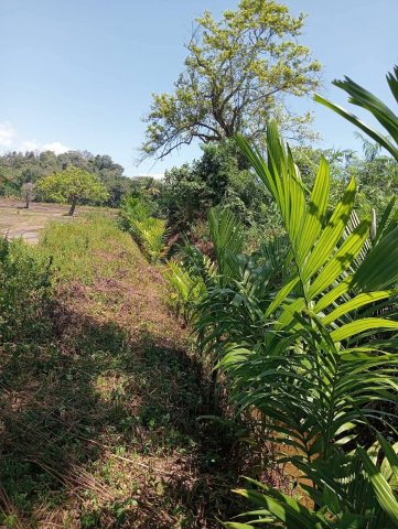 Environmental conservation progarmme