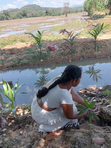 Environmental conservation progarmme