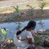 Environmental conservation progarmme